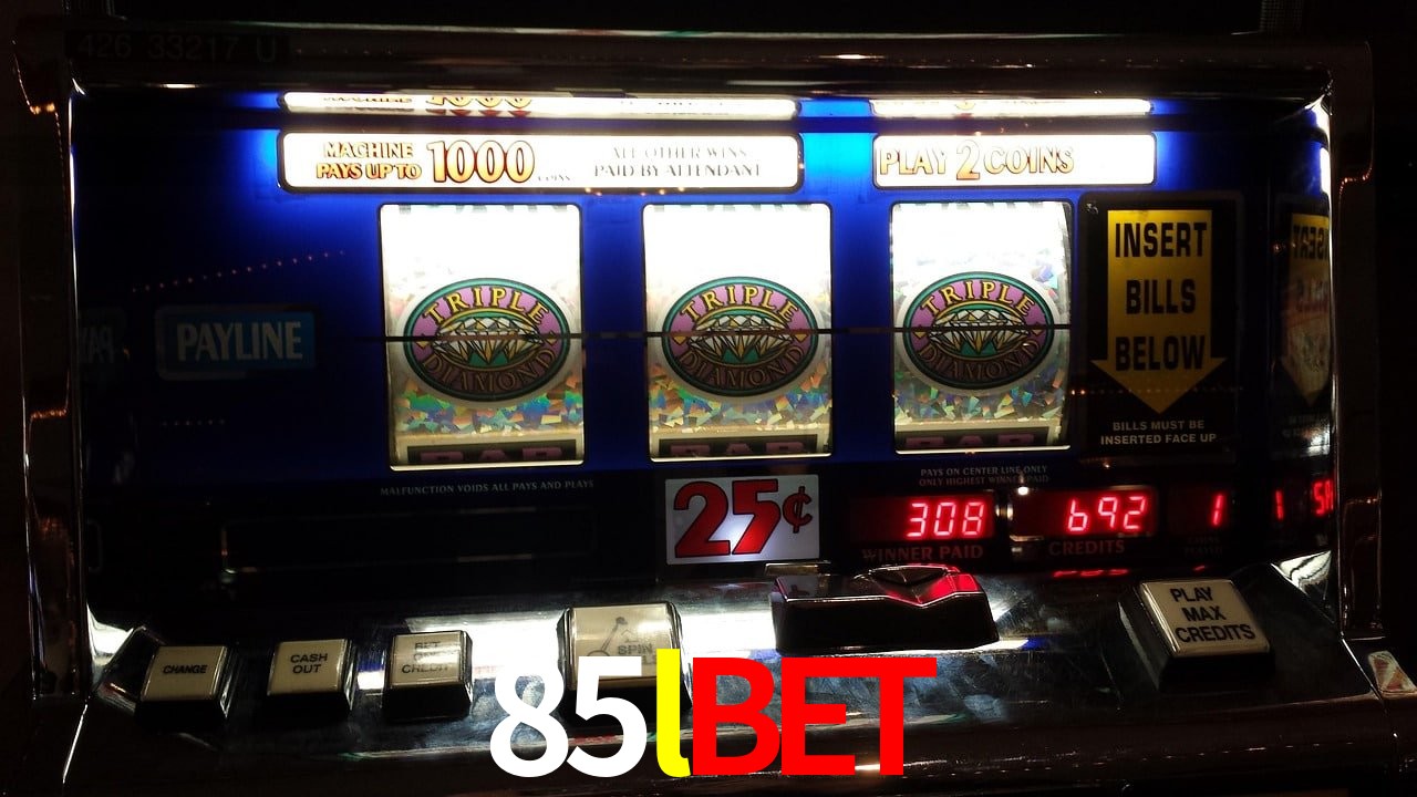 Experiência VIP 85lbet